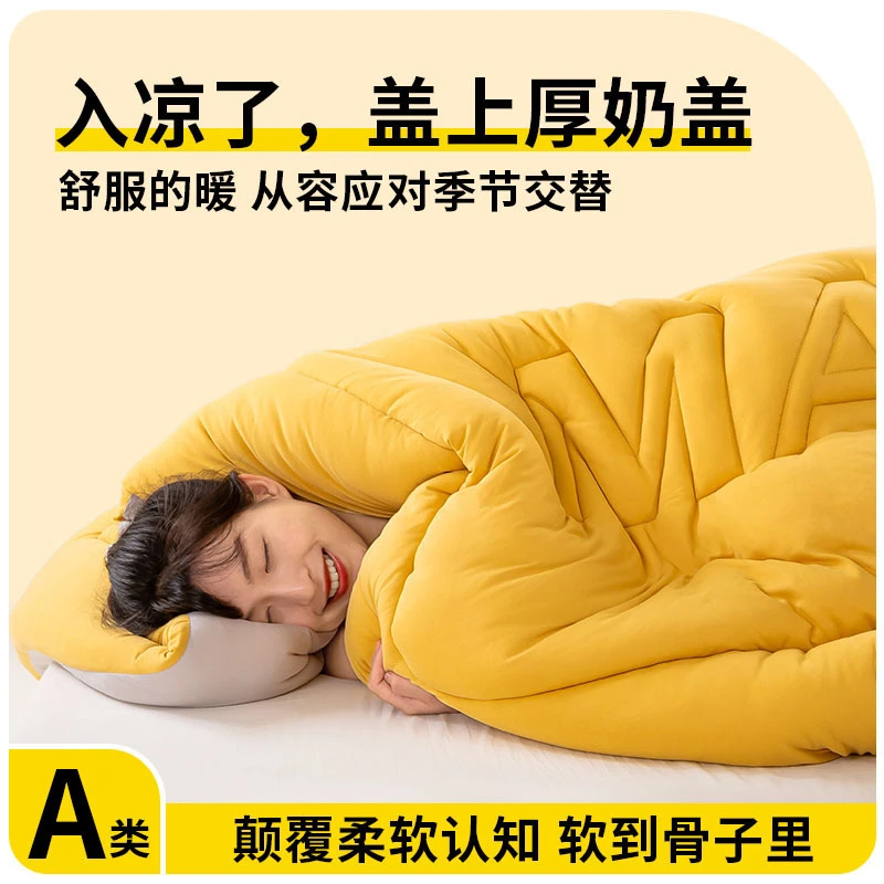 水星新家纺A类家用针织棉大豆纤维被子冬被加厚保暖被芯春秋四季