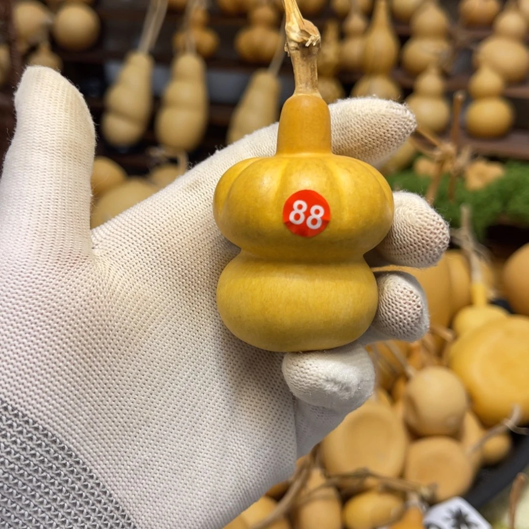 罗***城88号闪拍葫芦（价格很低，No退No换）