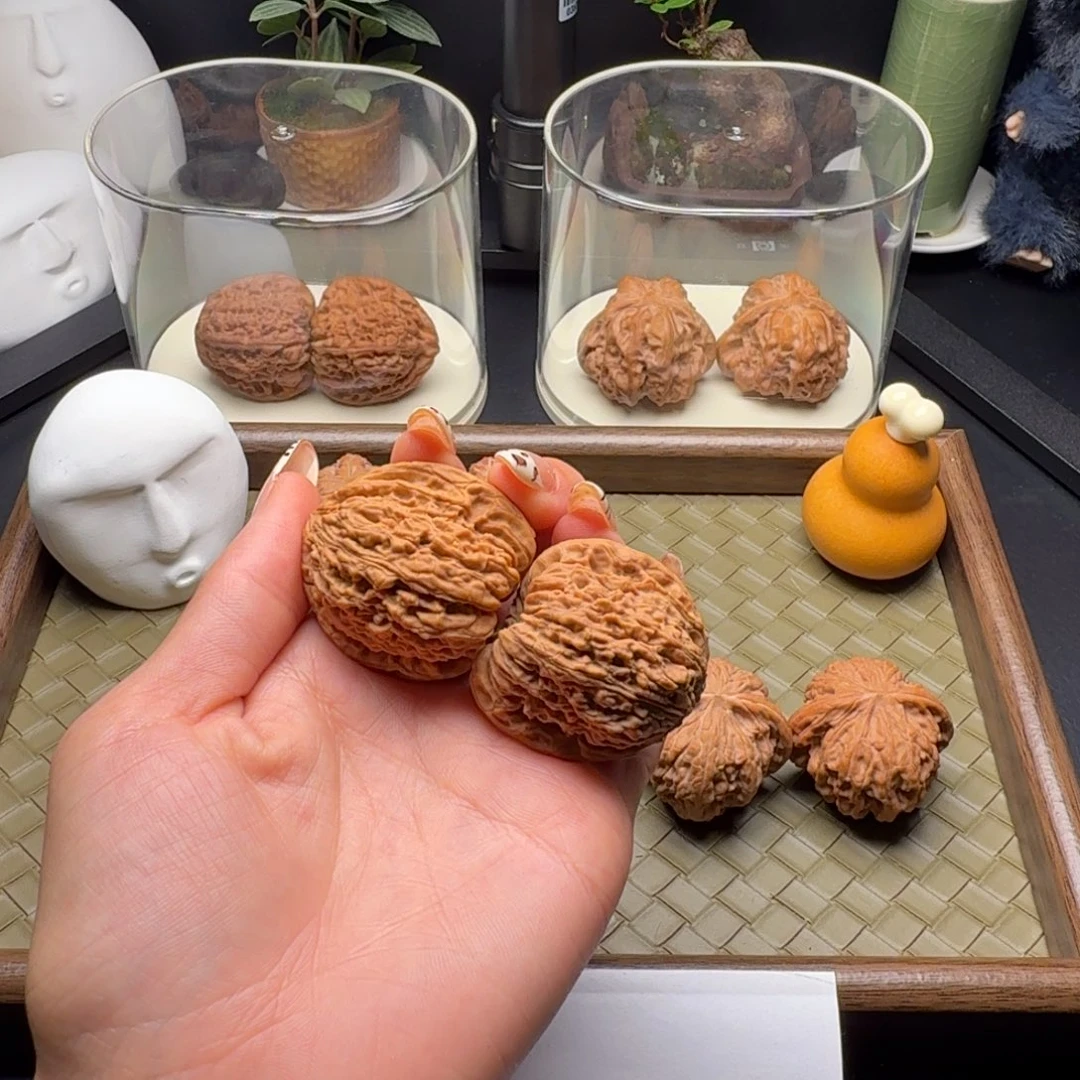 神****吊坠龙脊菩提南疆
