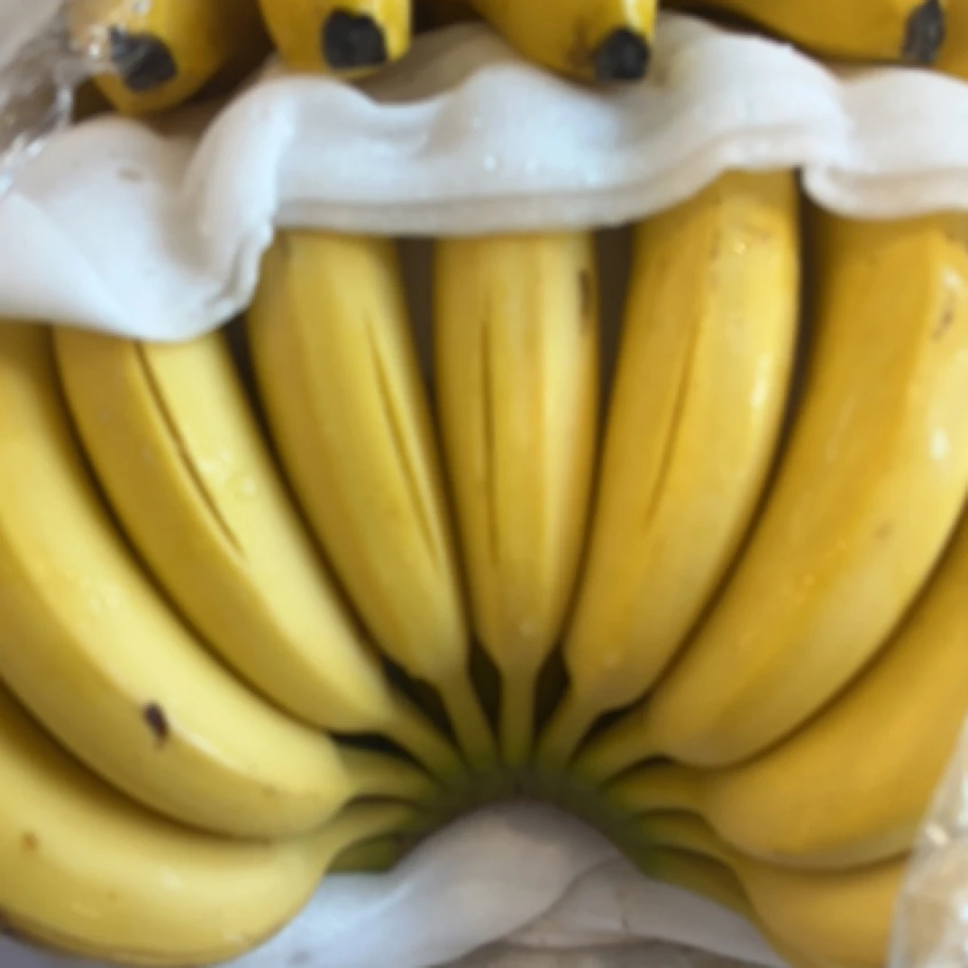 香蕉 香蕉同城送