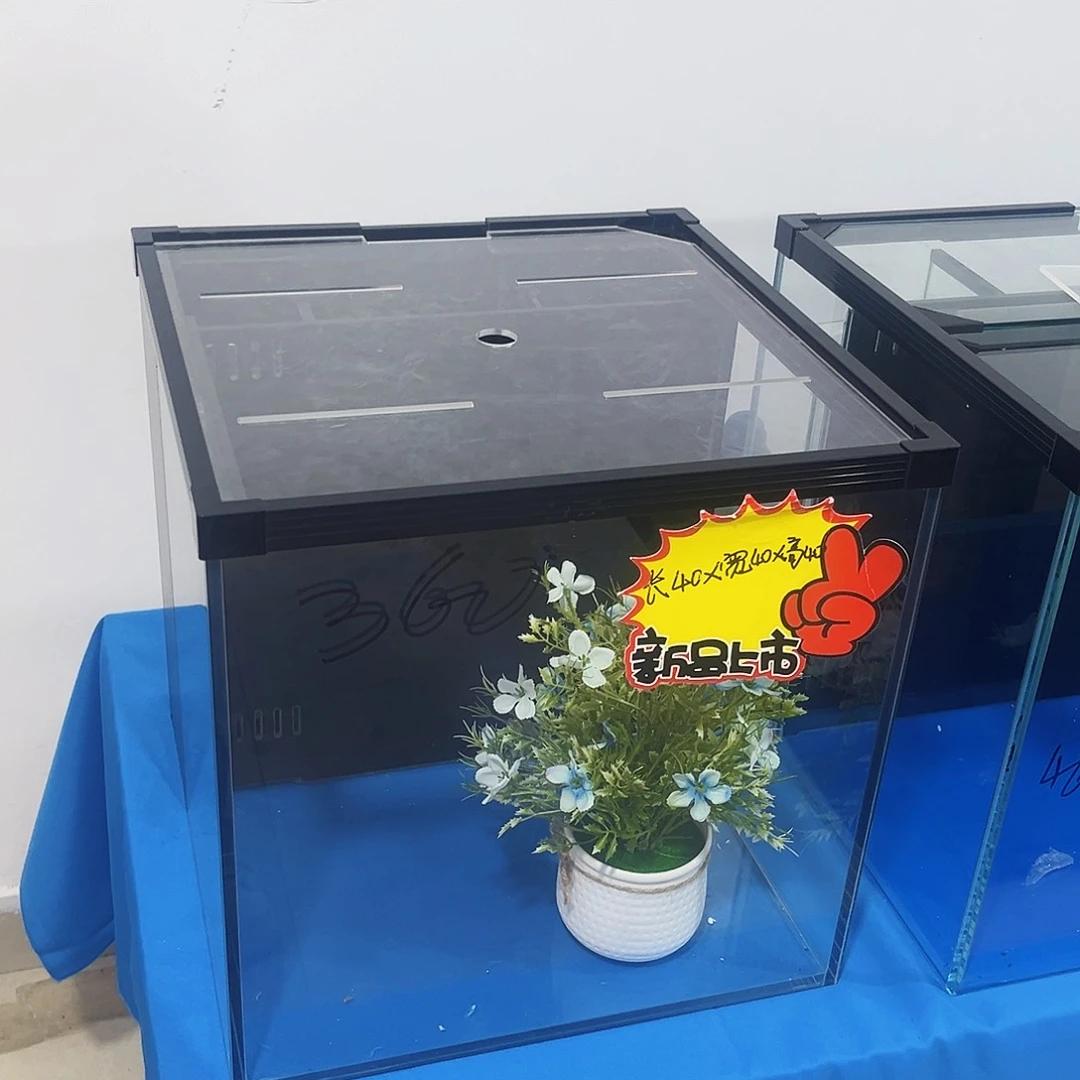 玻璃完**间40方新款鱼马桶