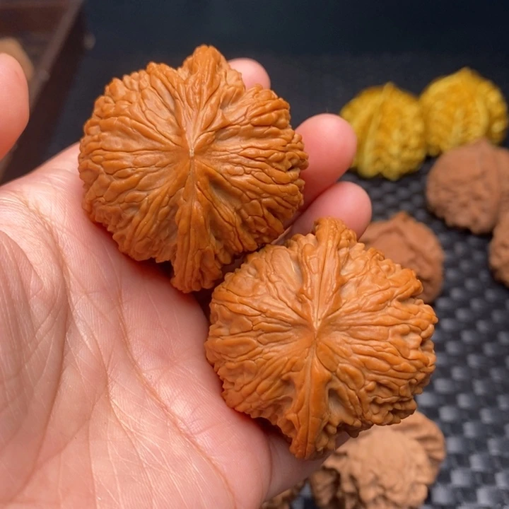 文玩核桃把件泥鳅45尺
