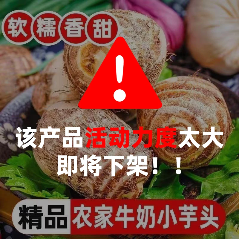 2025年当季新鲜贵州牛奶毛芋头软糯小芋头农家芋艿子香芋应季蔬菜