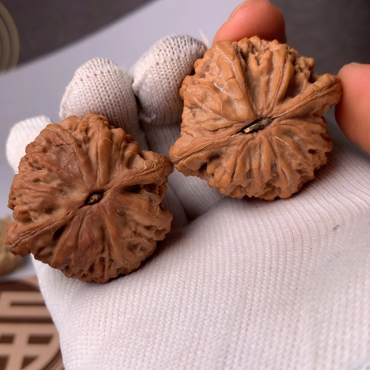 气***昂虎头王家啦啦图啦噜啦