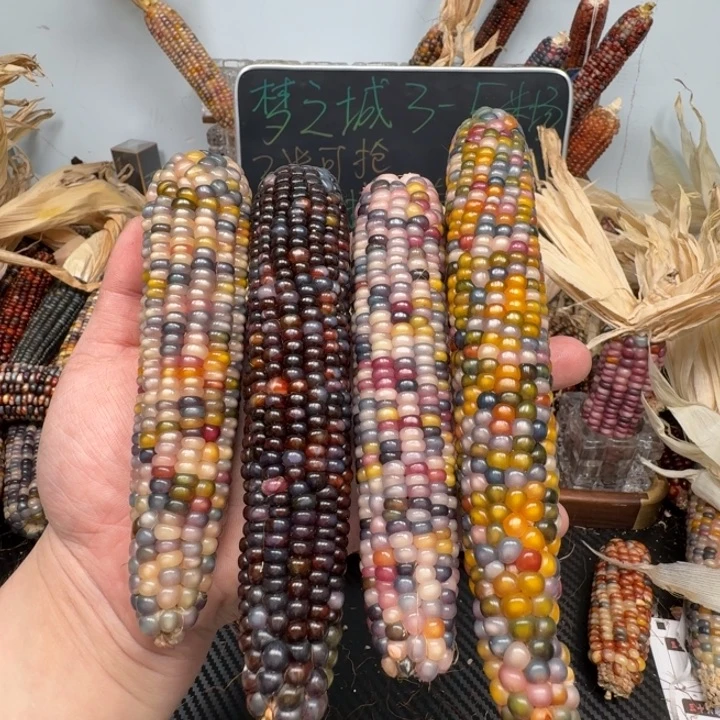 柏香籽/百香籽吊坠F*