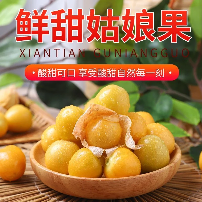 【顺丰包邮】东北姑娘果灯笼果新鲜现摘酸甜可口脆嫩多汁1-5斤装