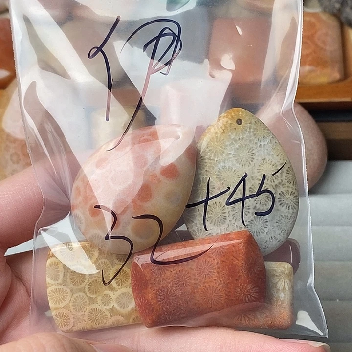 伊***^硅化玉未镶嵌颈饰