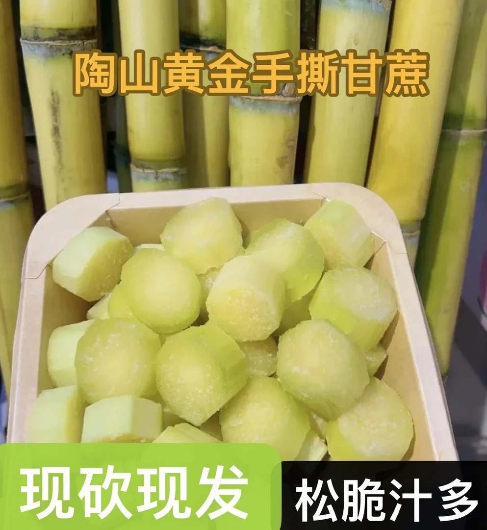 【现砍现发】陶山薄皮黄金手撕水果甘蔗2500克松脆多汁