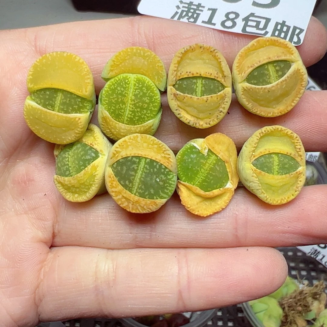 【闪购商品】805……