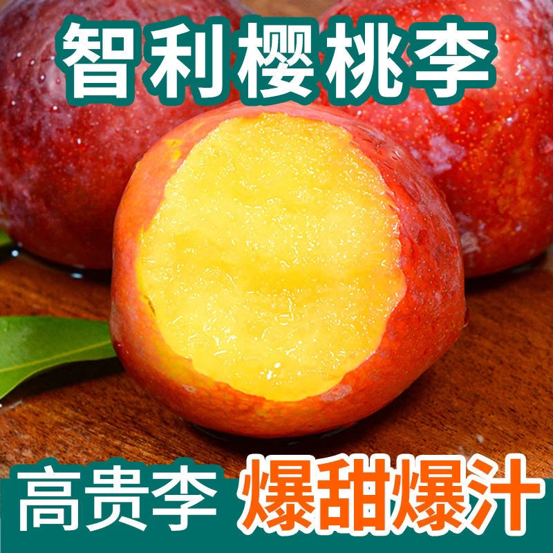 进口高端水果【智利樱桃李子】新鲜樱桃李子甜蜜多汁坏果包赔