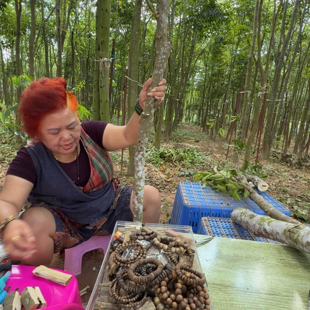 m***i线香奇楠沉香原木