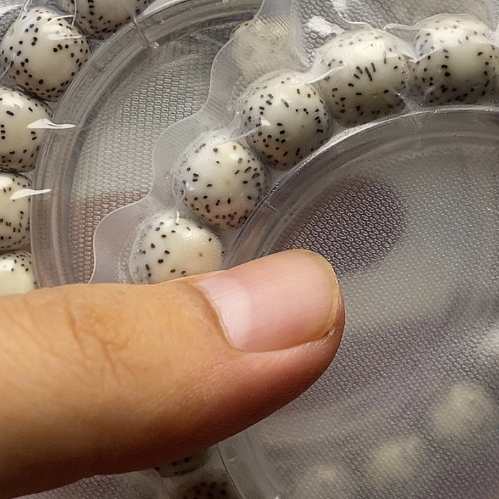 囡***粉手串星月菩提原生态11/10单圈，两个