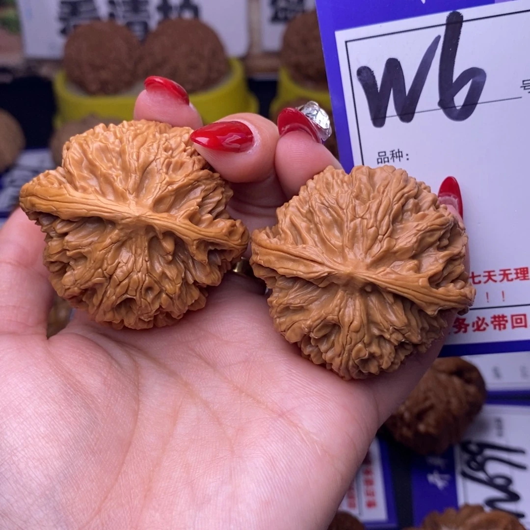 文玩核桃吊坠W6链接 《微修》苹果园45尺