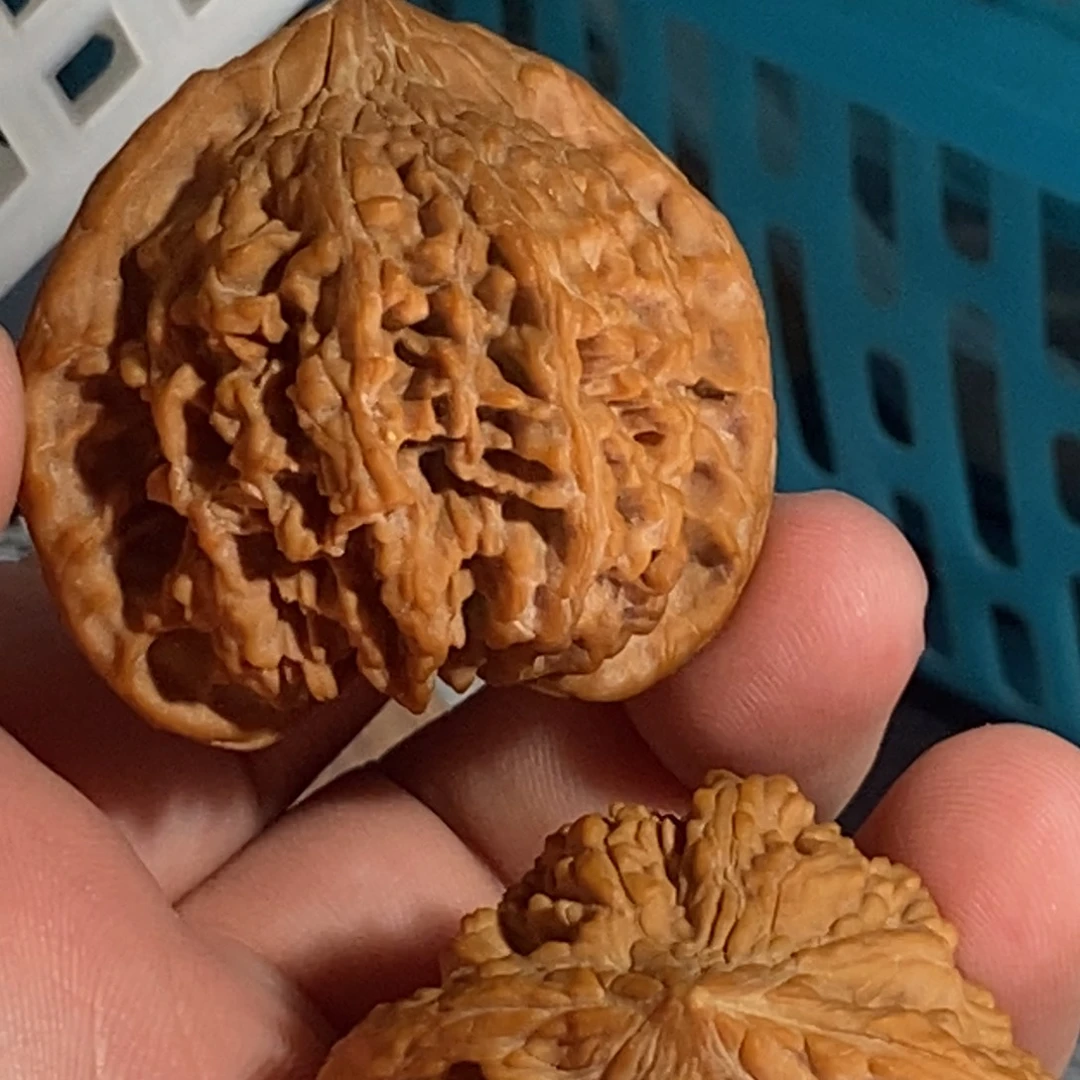 快***鲲文玩核桃吊坠42全品满天星，轻微水尖