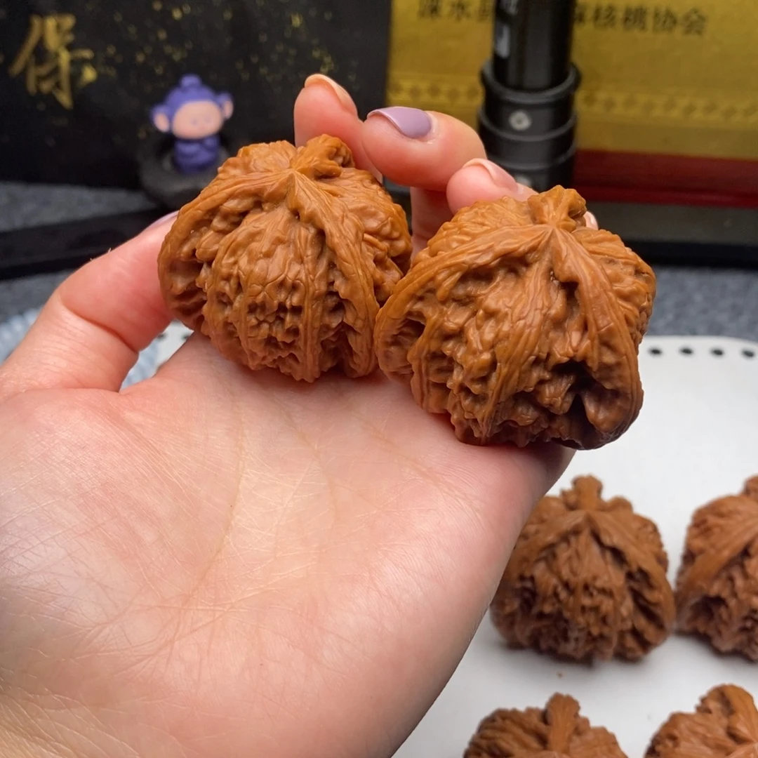 顺*白狮子111111111