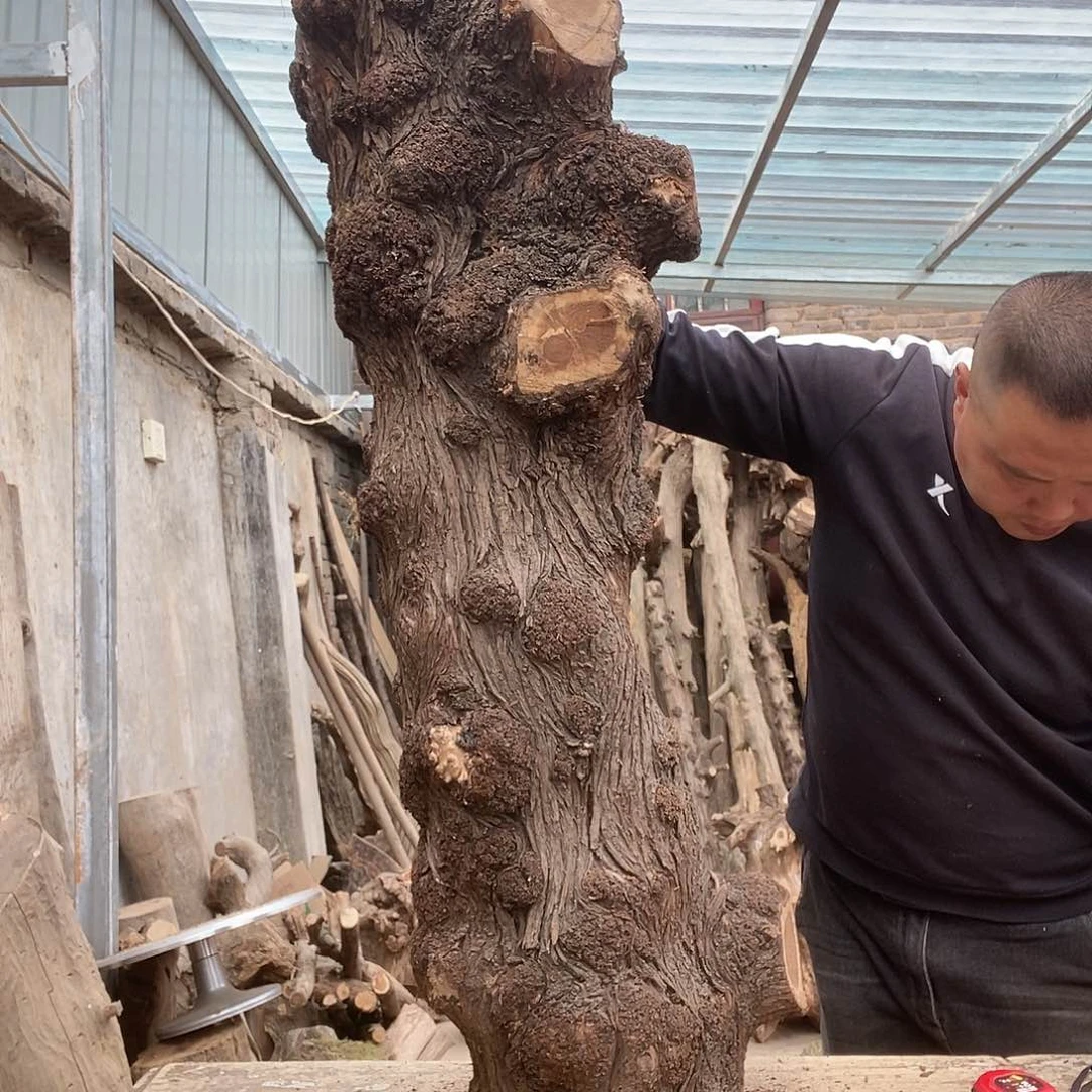 闽**艺太行的太行太行