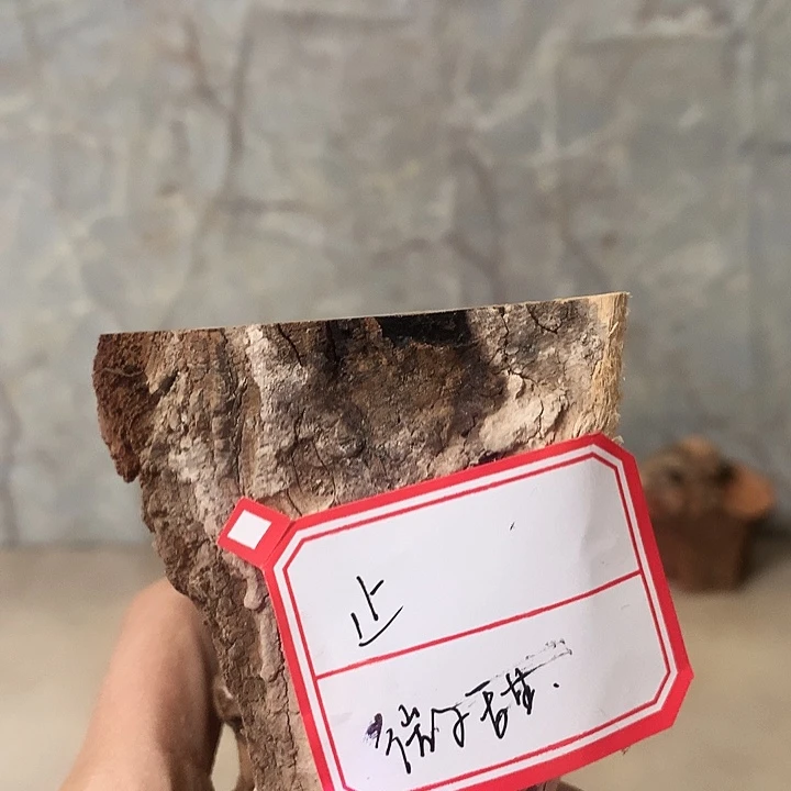 止***安大叶紫檀（黑酸枝木类）