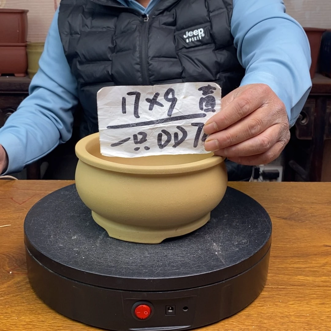 紫砂货号一只DD74