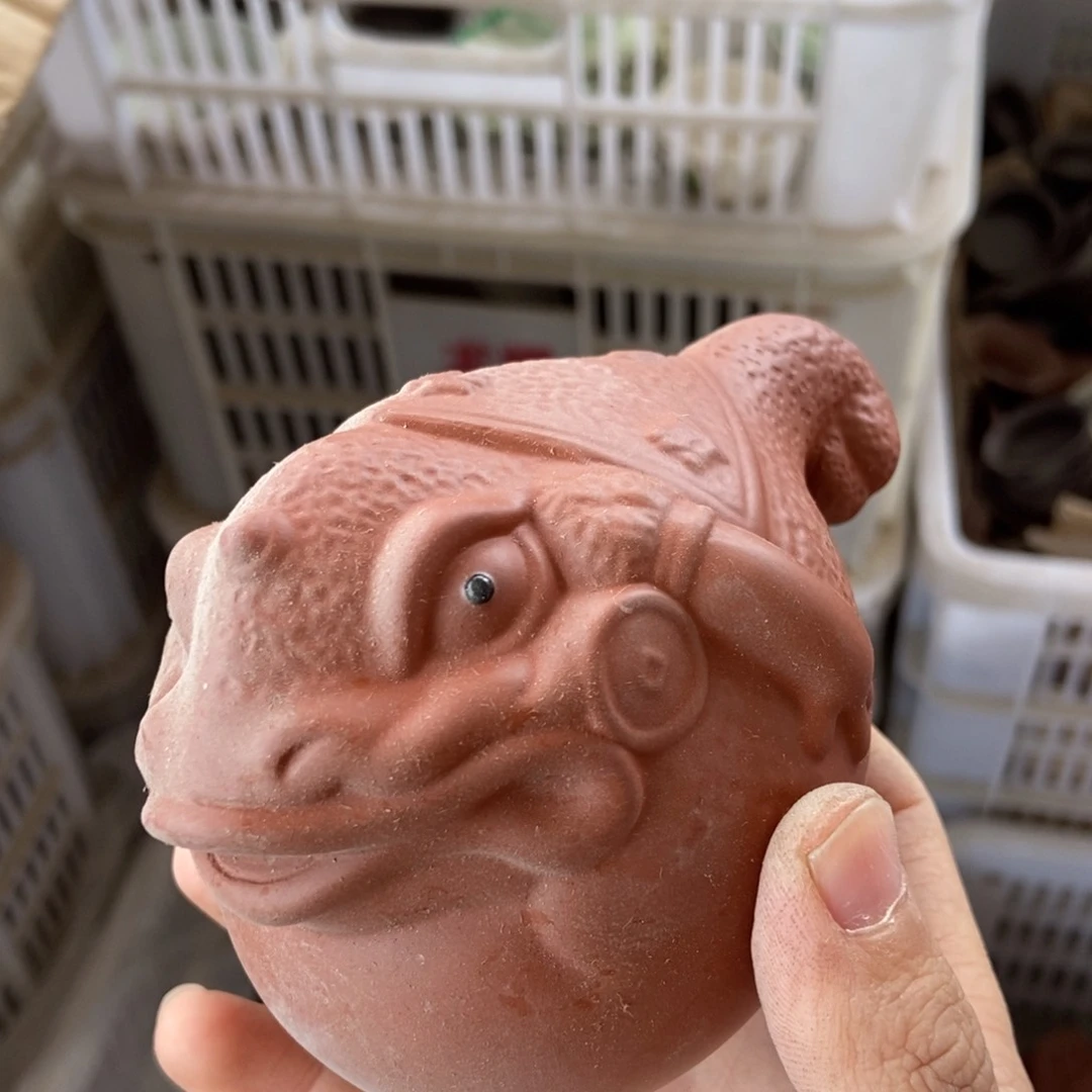 杯直播链接直播链接