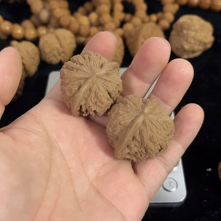 文玩核桃把件36左右137狮子头，编号028