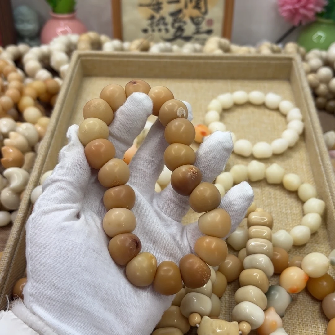 菩提根/象牙果吊坠18干磨瑕疵落地果肠福利675