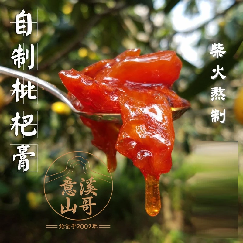 意溪山哥陈皮枇杷膏 潮汕农家鲜果 柴火手工熬制 450g冰糖枇杷膏