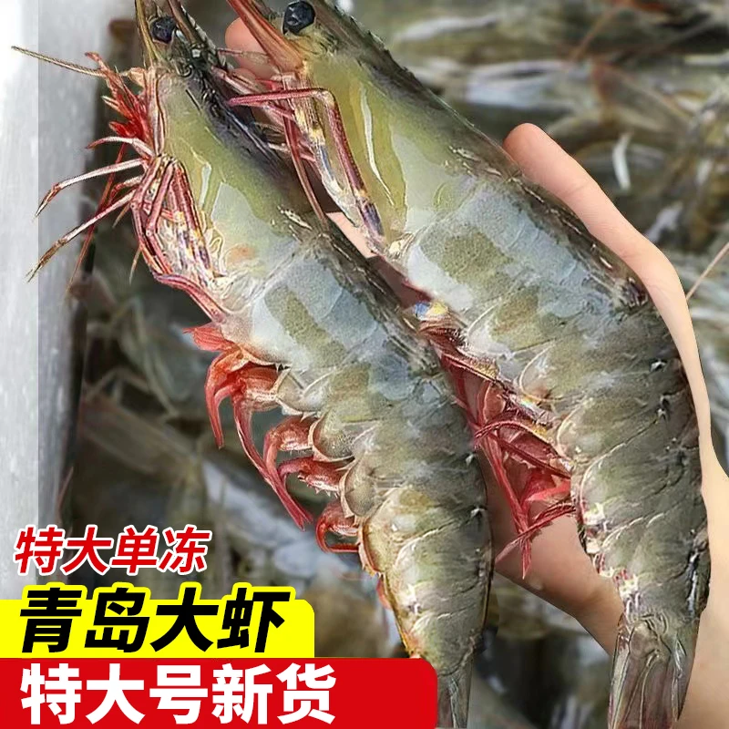 【20/30】青岛大虾特大号白虾2.8斤鲜活速冻基围虾新鲜冷冻非青虾