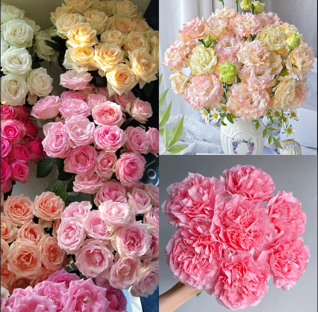 鲜花组合【香槟洋桔梗1份+粉钻10支+随机玫瑰10支】鲜花基地直发