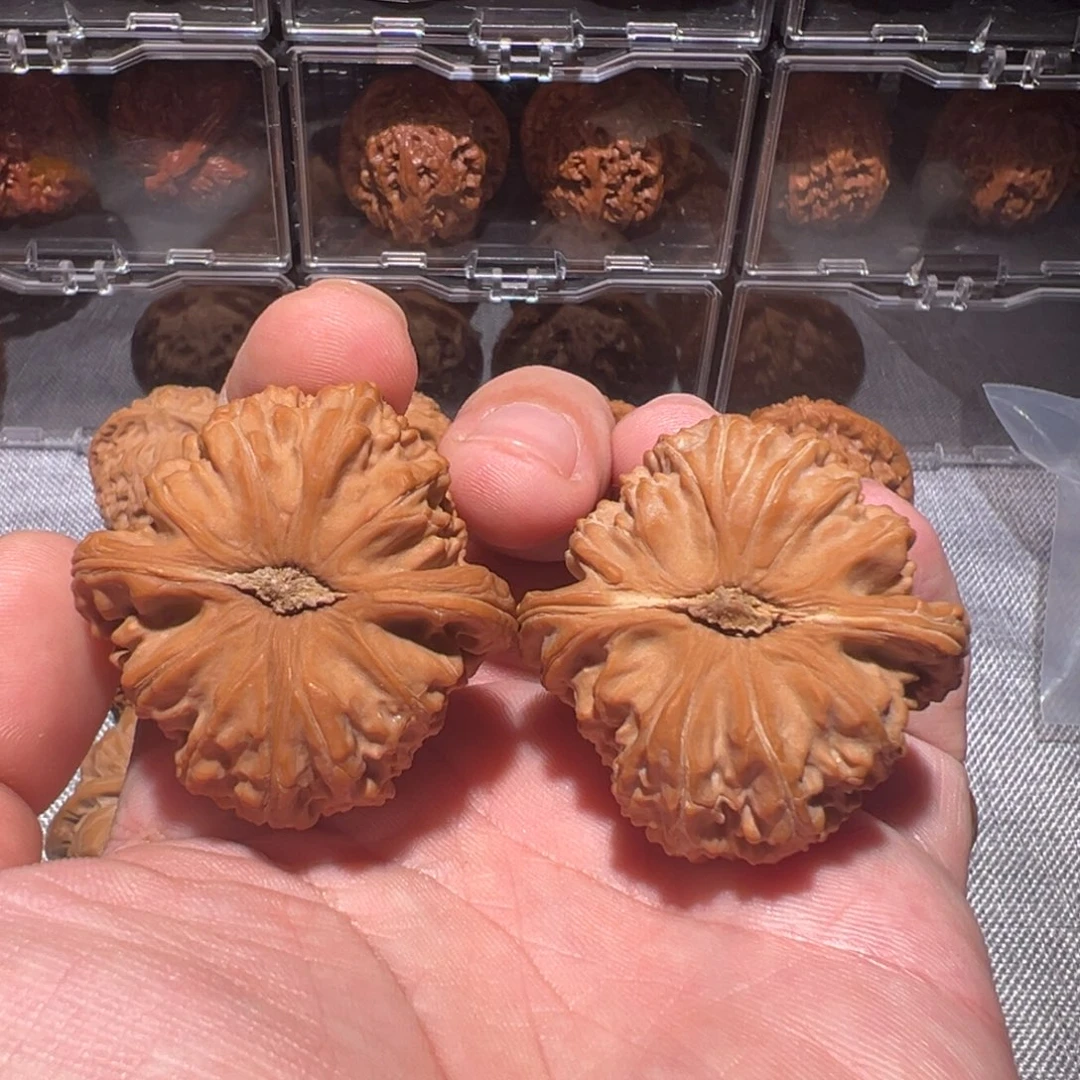 文玩核桃把件j****j42白狮子