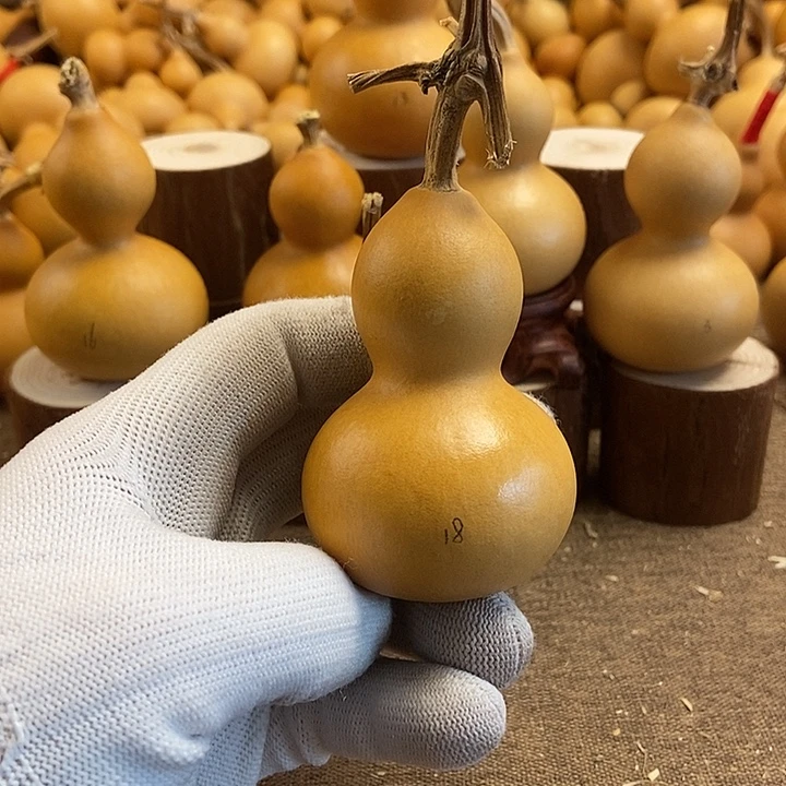 文玩葫芦 完美主义者 慎拍18