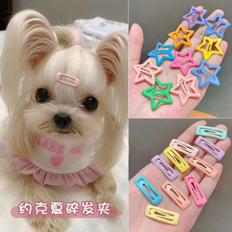 3cm彩色迷你宠物狗狗马尔济斯发夹bb夹方形可爱小夹子头饰发饰