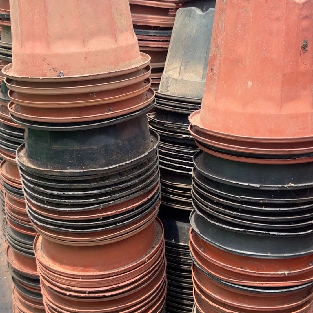 黑红砖盆19口径16高 50个