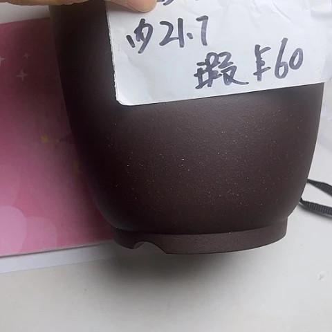 风***翼紫砂383858888888888