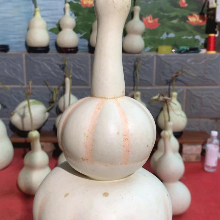 p***n中号尺寸的尺寸大小的