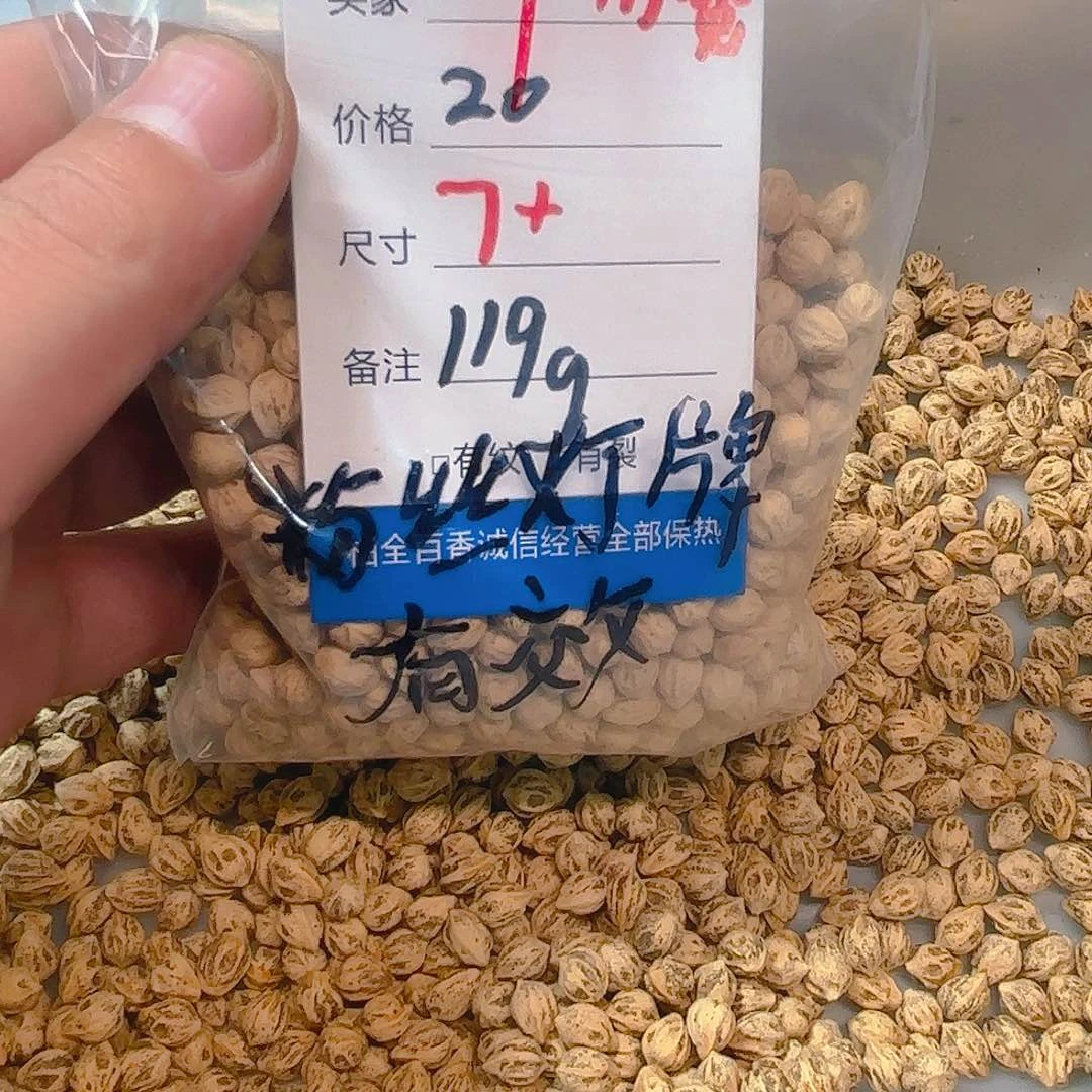 渔*柏香籽散子 119 克散子