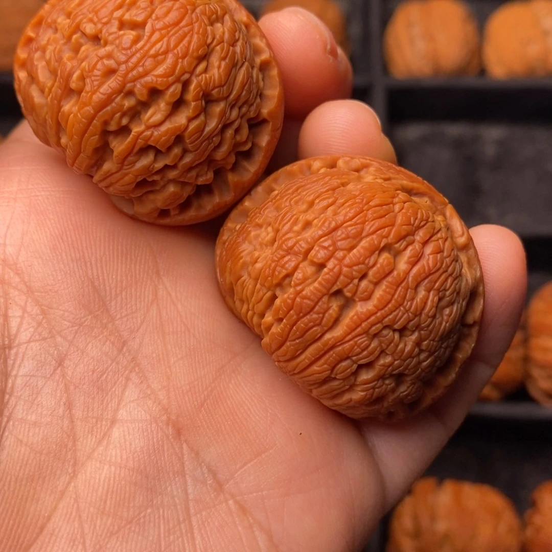 文玩核桃把件秦岭野生核桃