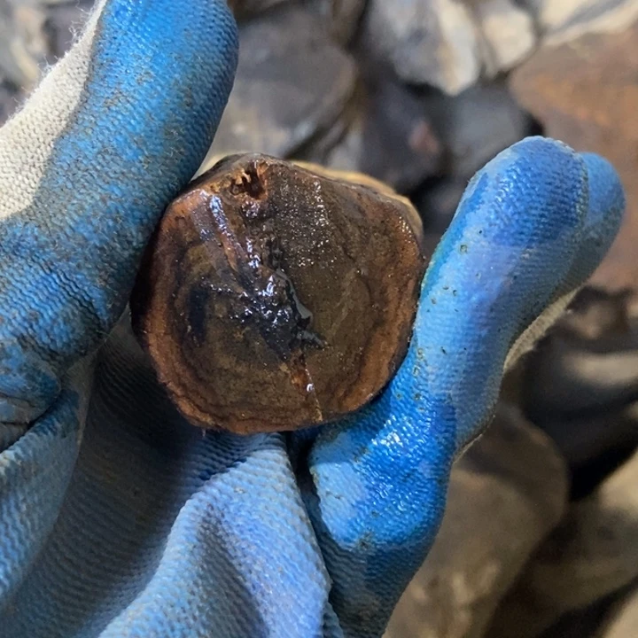 山***源贡木把件定制不退不换