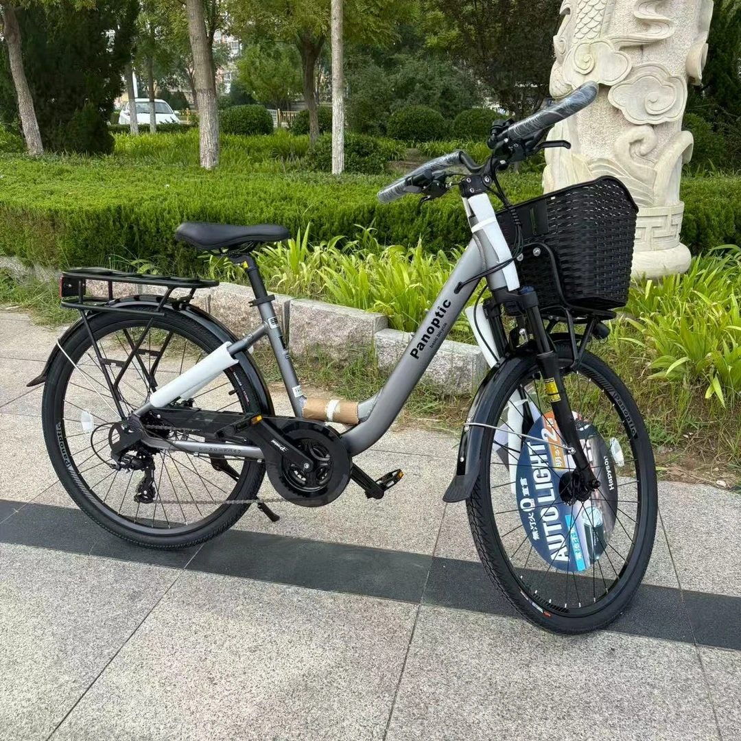 26寸24速蝴蝶把旅行车