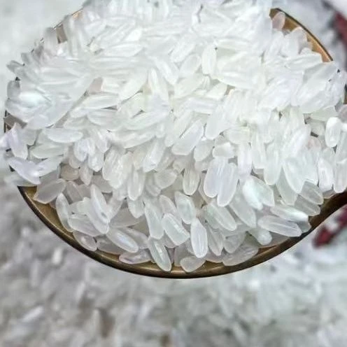 东北珍珠圆粒大米当季新米软糯非真空适合家庭食用