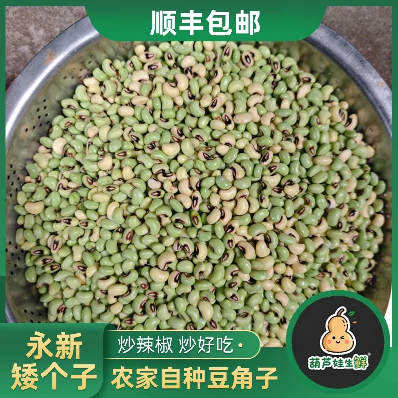 【顺丰包邮】永新农家自种矮个子饭豆 手剥矮个子饭豆 青椒炒软糯香
