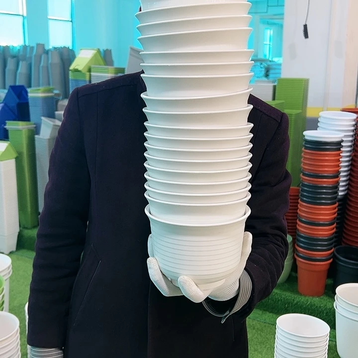 正品矮陶口15高11白色10只无托