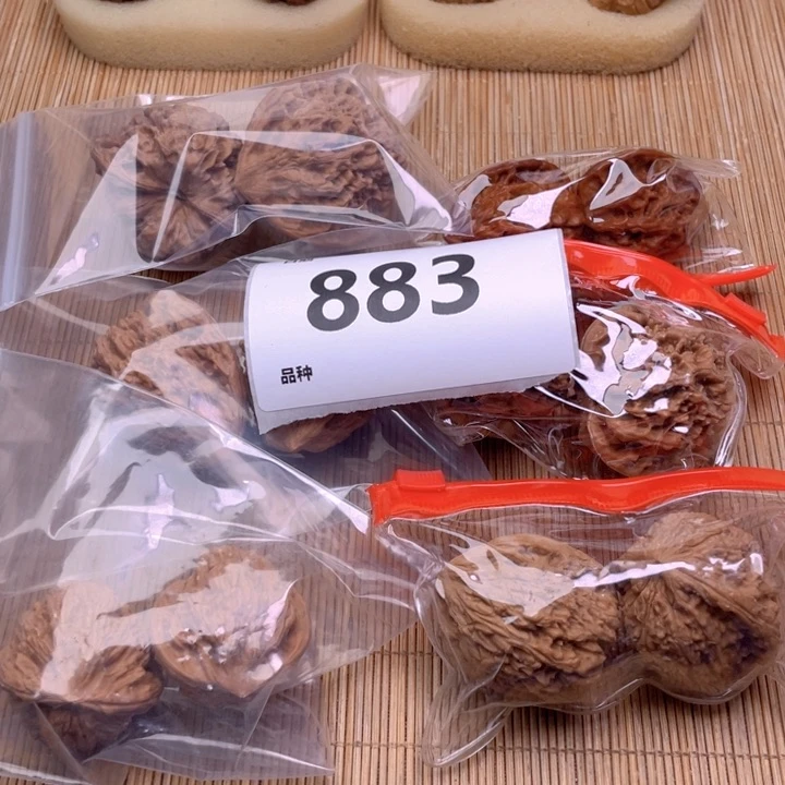 文玩核桃把件883号6对