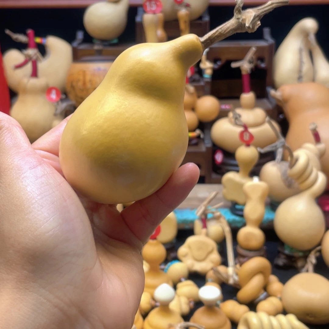 -***起大自然的秘密第十一章第一章