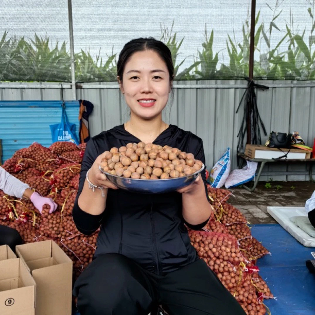 2025年东北新鲜大榛子 3-5斤