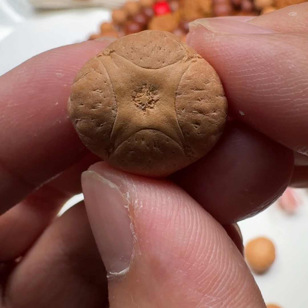 吊坠凤眼菩提凤眼菩提