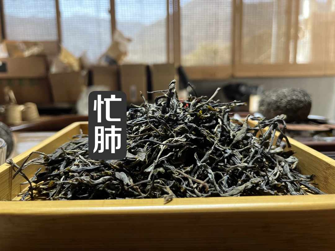 2024年春古树普洱生茶《永德忙肺》明前春茶自己喝送礼茶叶鲜爽可口