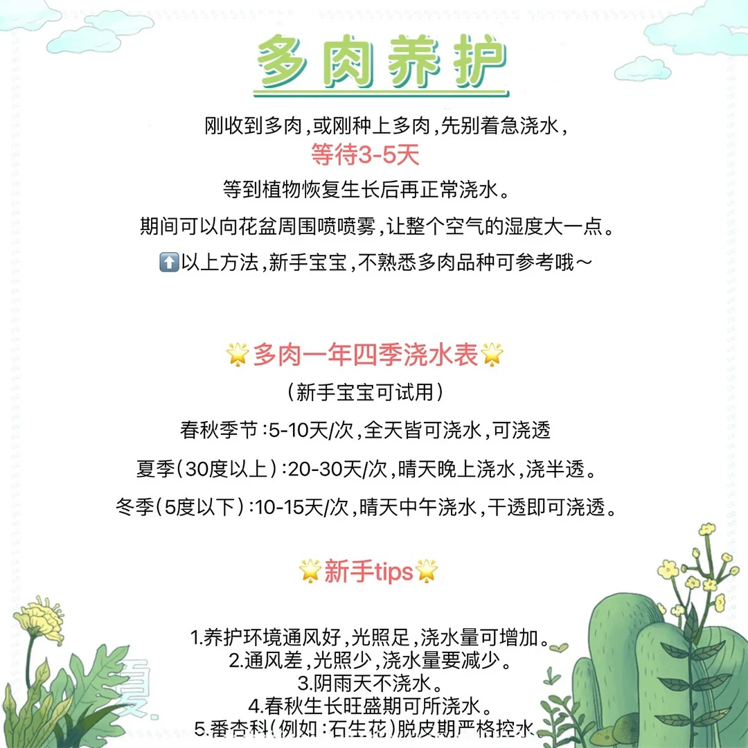 【亿米】随机精品多肉一颗