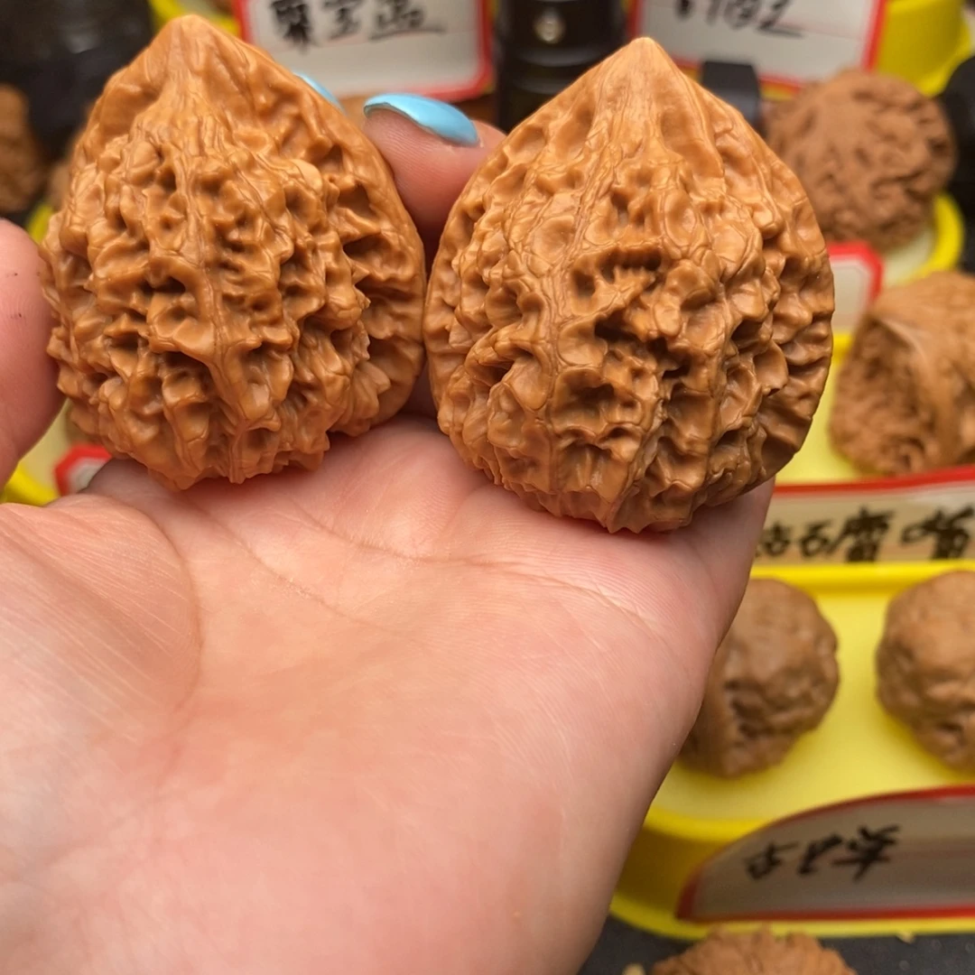 菩提籽类官帽王王