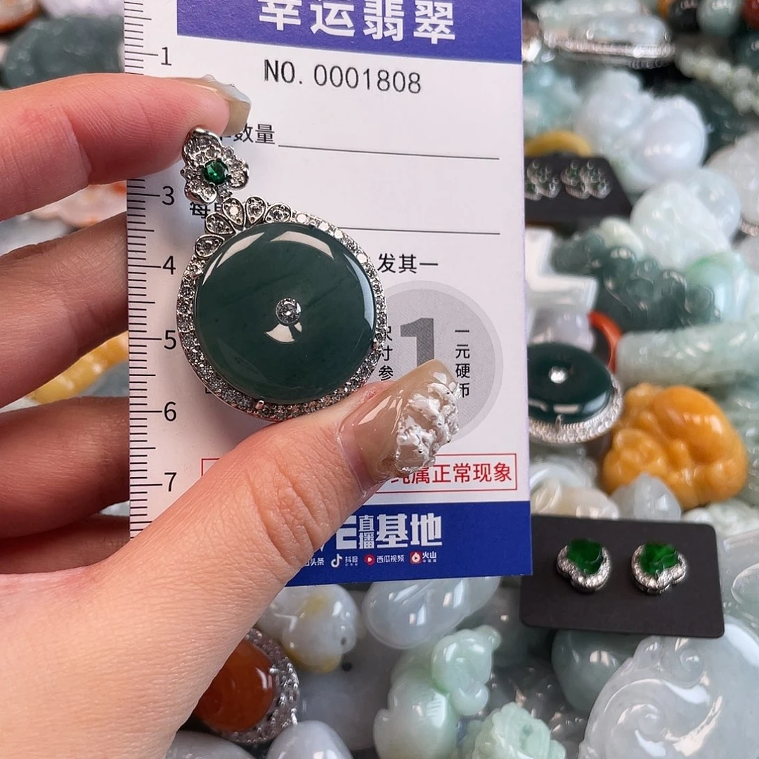 翡翠未镶嵌颈饰1808