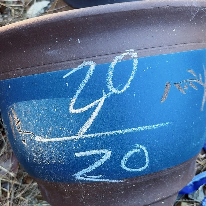 茶壶紫砂紫砂的颜色